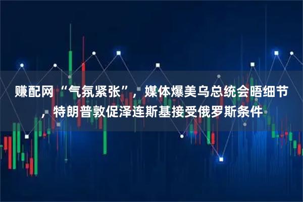赚配网 “气氛紧张”，媒体爆美乌总统会晤细节，特朗普敦促泽连斯基接受俄罗斯条件