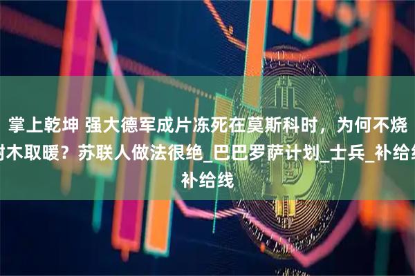 掌上乾坤 强大德军成片冻死在莫斯科时，为何不烧树木取暖？苏联人做法很绝_巴巴罗萨计划_士兵_补给线